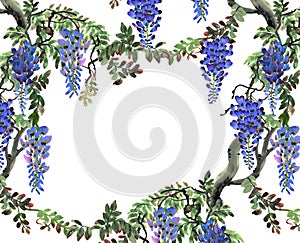 Blue wisteria tree