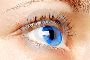 Blue woman eye photo