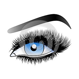 Blue woman eye with long false lashes.
