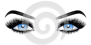 Blue woman eyes with long false lashes with eyebrows.