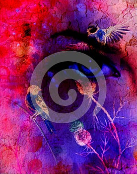 Blue women eyes beaming up enchanting from flower, with bird on pink abstract background