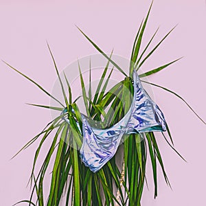 Blue womens swimsuit hanging on palm tree, the concept of summer holidays at sea