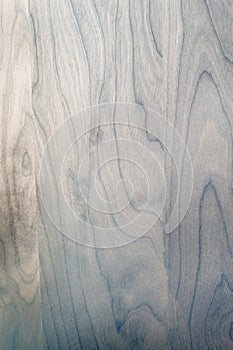 Wood texture