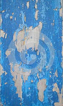 Blue wood texture fragments photo