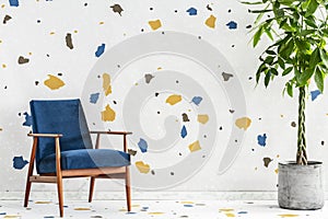 Blue wooden armchair and plant in modern living room interior with colorful wallpaper. Real photo