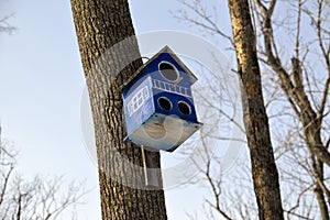 Blue wooden birdhouse with painted windows and three holes. It hanging on the tree in forest on sky background. Early spring, Russ