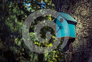 Blue wooden birdhouse in the park