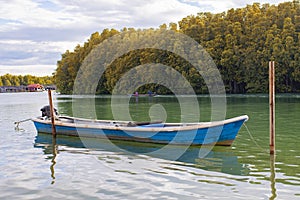 Blue wooden boat floating over fresh water canal against beautiful mangrove forest in trad province eatern of thailand