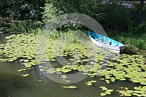 Russia: A wooden boat on a pond overgrown with water lilies and sedge