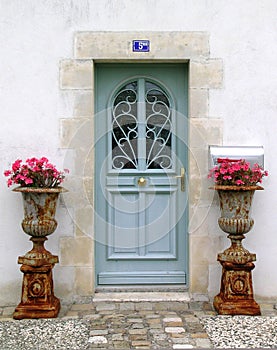 Blue wooden door with flower plants