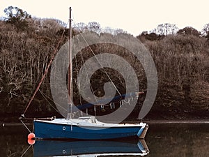 Blue yacht in autumnal Cowlands Creek.