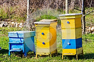 Blue and yellow beehives