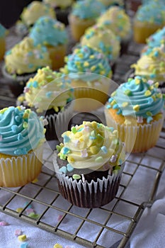 Blue and Yellow cupcakes with spring sprinkles vertical layout