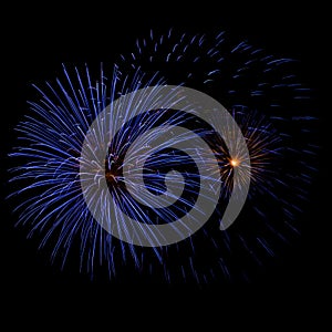 Blue and Yellow Fireworks