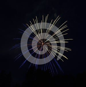 Blue-Yellow Fireworks