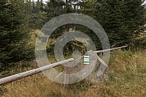 Blue, yellow and green trailblazing symbols on a stone in Karkonosze mountains photo