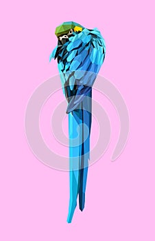 Blue and Yellow Macaw low polygon isolated on pink background, colorful parrot bird modern geometric icon