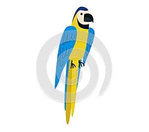 Blue and yellow macaw parrot perched, tropical bird illustration. Wildlife and exotic avian concepts vector illustration