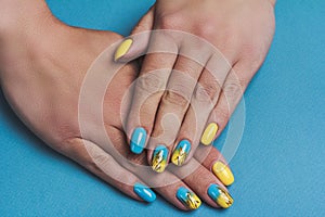 Blue yellow nail art with drawn wheat