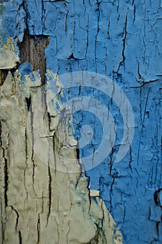 Blue and yellow peeling paint on old wall
