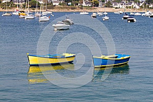 Blue and Yellow Rowing Boats