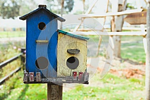 blue yellow wooden bird house home birdhouse