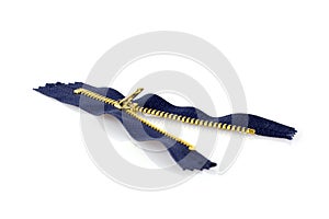 Blue zipper isolated