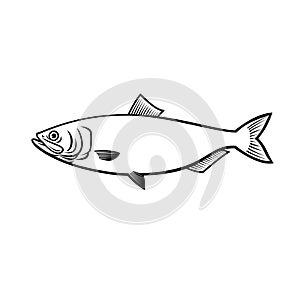 Blueback Herring or Blueback Shad Alosa Aestivalis Side View Stencil Black and White