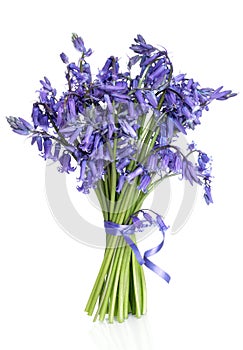 Bluebell Flower Posy