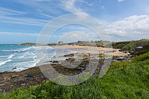 Bluebells at Fistral beach Newquay North Cornwall uk with waves breaking in spring photo