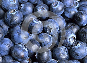 Blueberries