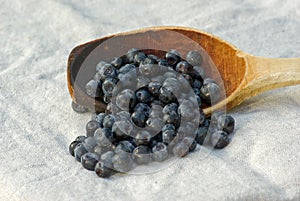 Blueberries