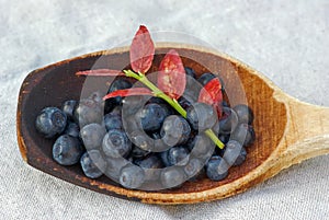 Blueberries