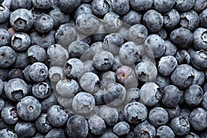 Blueberries