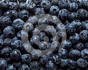 Blueberries