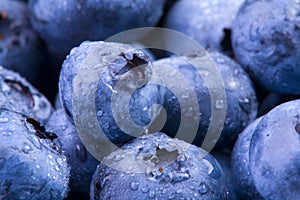 Blueberries