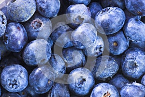 Blueberries