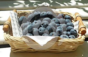 Blueberries