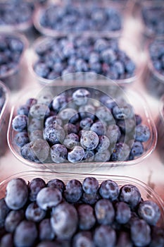 Blueberries