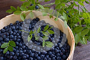 Blueberries