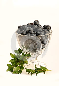 Blueberries