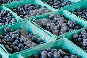 Blueberries