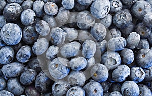 Blueberries