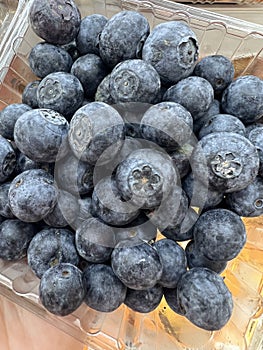 blueberries is actually a sign of freshness