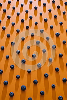 Blueberries aligned in a pattern. Ripe blueberry fruits background