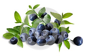 Blueberries_arrangement