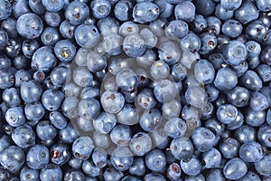 Blueberries background