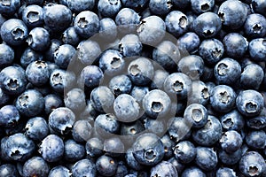 Blueberries