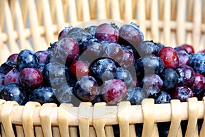 Blueberries in basket