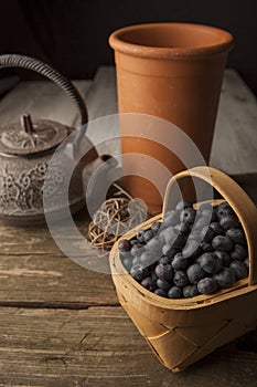 Blueberries and basket with teapot still life.